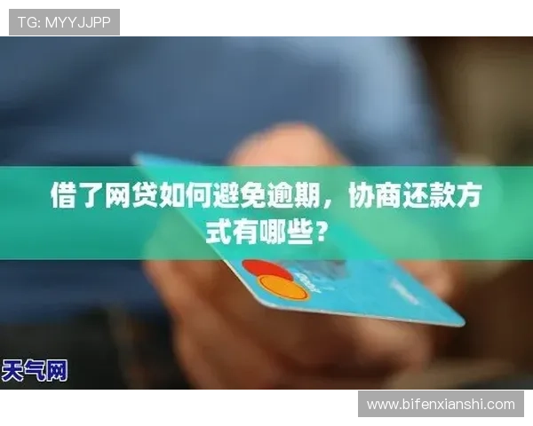 三包波胆怎么分配本金避坑指南极速提现攻略 三包波胆怎么分配本金避坑指南极速提现攻略